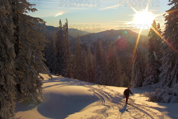 Ski tour in high winter