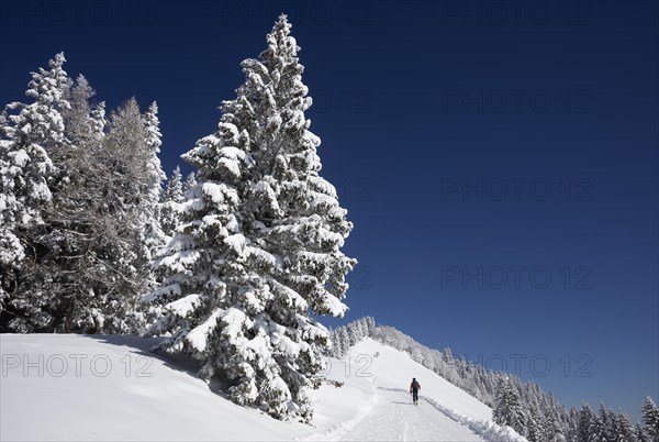 Deep snowy winter landscape with ski tourers on the way to the Zwoelferhorn