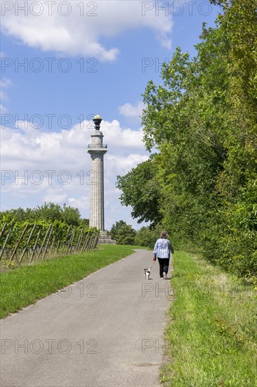 Constitution column