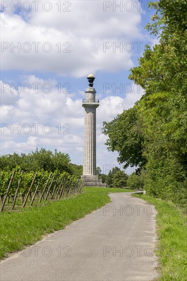 Constitution Column