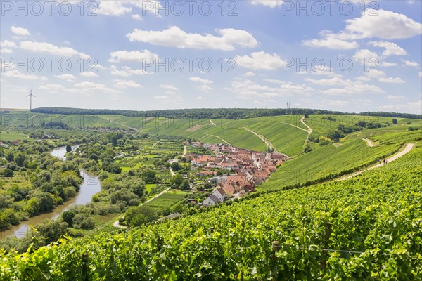 View from Vogelsburg Castle on the Main Loop towards Escherndorf