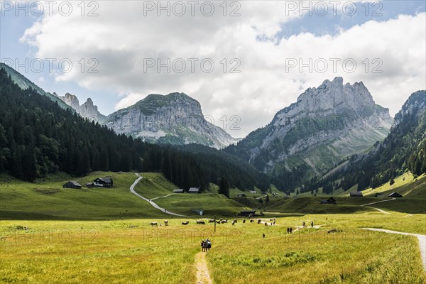 Mountain landscape and hiking trail