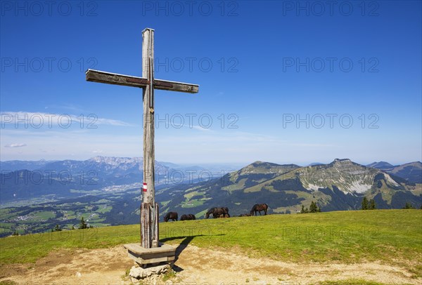 Herd of horses at the summit cross on Trattberg with a view of Schlenken and Schmittenstein