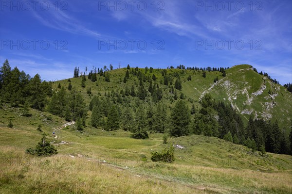 Hiking trail from the Wiesleralm to the Wieslerhorn