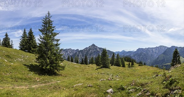 Hiking trail to Thorhoehe with view to Rinnkogel