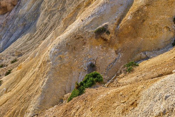 Close view of yellow sedimentary rock formations with some green grass. Details. Sandy texture