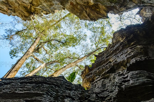 Crack in the roof of the Lapinha cave in the middle of the forest in Lagoa Santa state of Minas Gerais