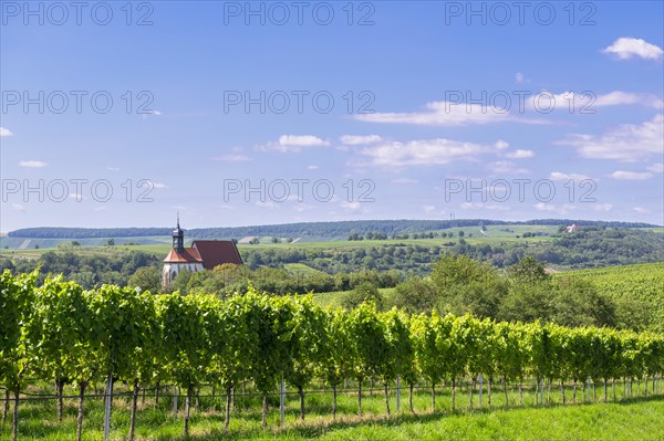 Pilgrimage church Maria im Weingarten