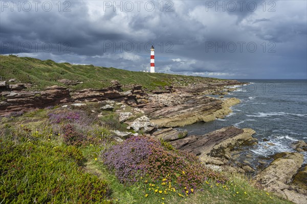 The Tarbat Ness Lighthouse on the Moray Firth