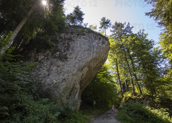 Hikers standing in front of the natural monument Satzstein near Hintersee