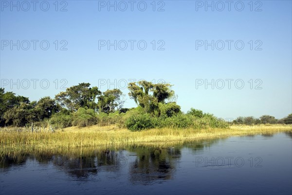Landscape in the Okavango Delta