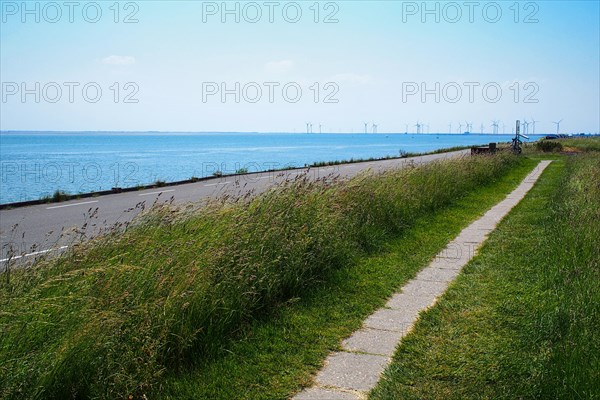 Dike on coast with cycle path