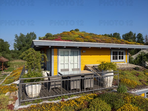 Wooden house with colourful flowering green roof