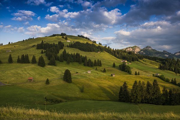 Alpine huts