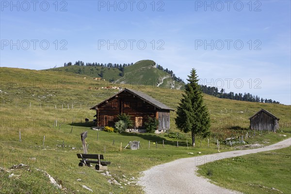 Alpine hut on the Postalm with a view of the Wieslerhorn