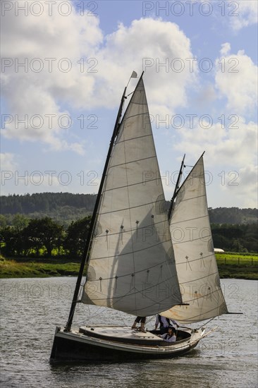 Parade of old sailboats in the Rade de Brest