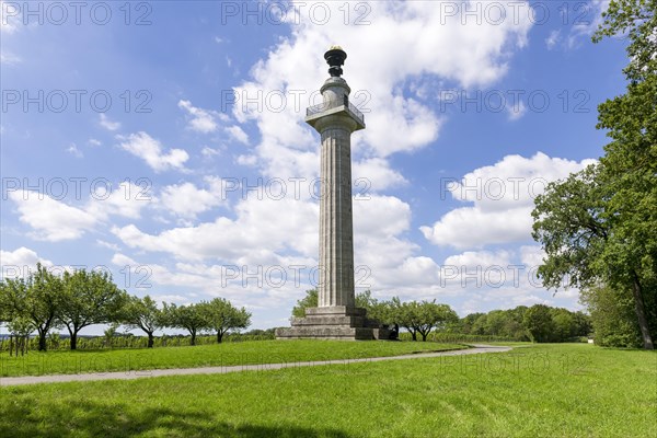 Constitution column