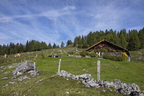 Pitscherbergalm on the Postalm