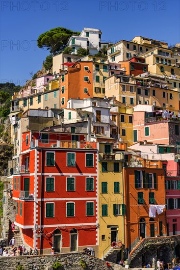 The village of Romaggiore in the Cinque terre