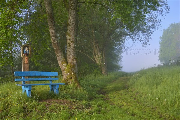 Bench