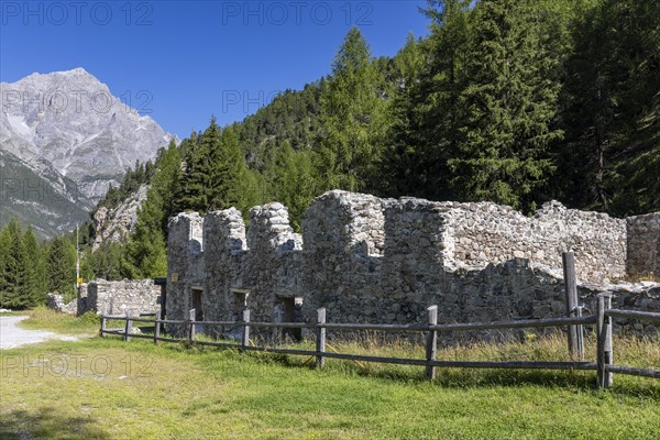 Schmelzra Mining and Bear Museum