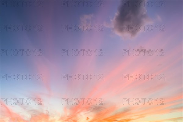 Radially arranged clouds Veil clouds Cirrostratus are colourfully illuminated by the setting sun Evening sun