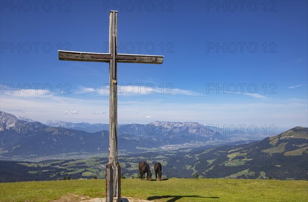 Herd of horses at the summit cross on the Trattberg with a view into the Salzach Valley