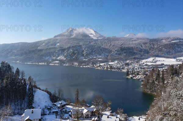 Winter landscape