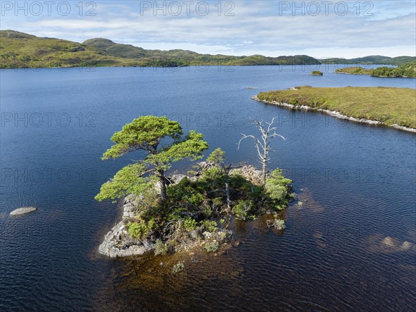 Aerial view of the freshwater loch Loch Assynt with a small island of trees