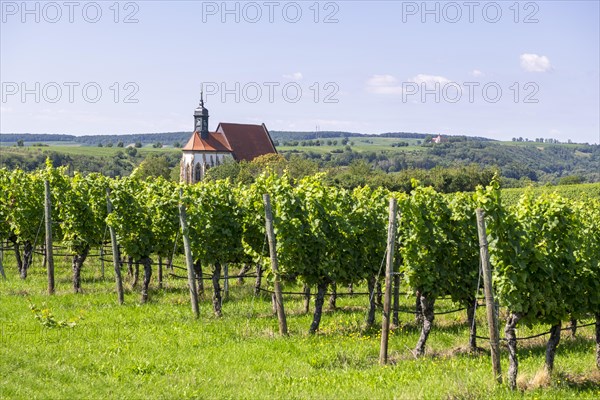 Pilgrimage church Maria im Weingarten