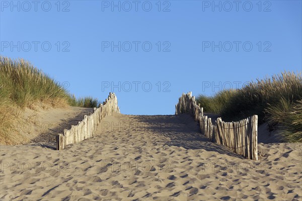 Path through dunes