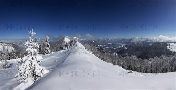 Winter landscape covered in deep snow in the Osterhorn group with a view from Pillstein to Zwoelferhorn