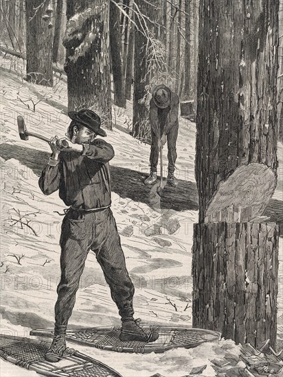 Woodcutter working in the forest in winter