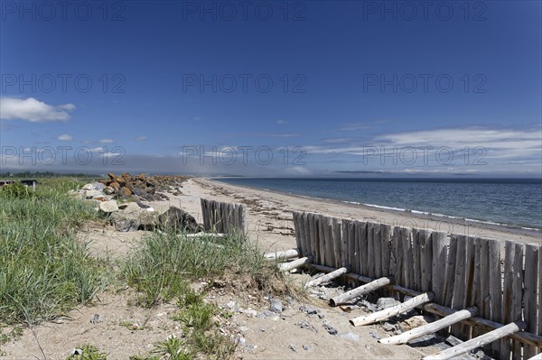 Palisades on a beach