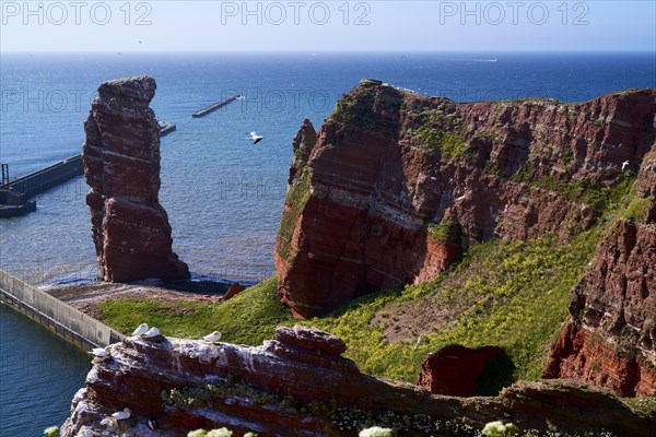 Lange Anna with cliffs on the high seas island of Helgoland