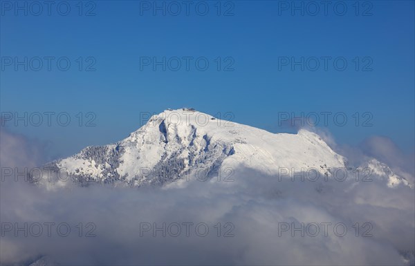 Winter landscape