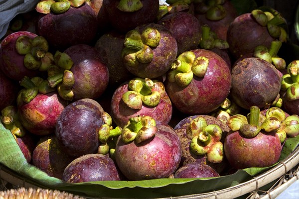 Mangosteen