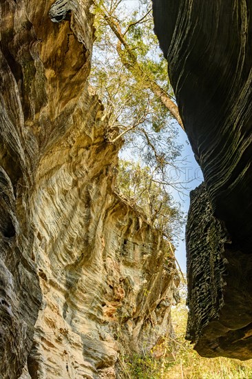 Entrance in the roof of the Lapinha cave in the middle of the forest in Lagoa Santa state of Minas Gerais