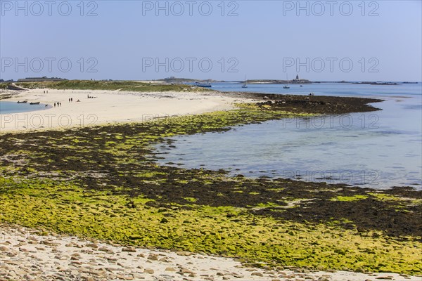 Sandy beach beach