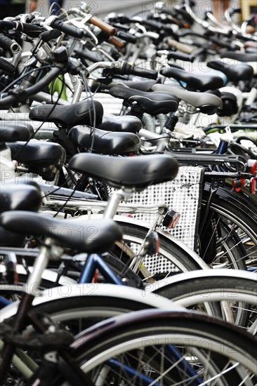 Numerous bicycles