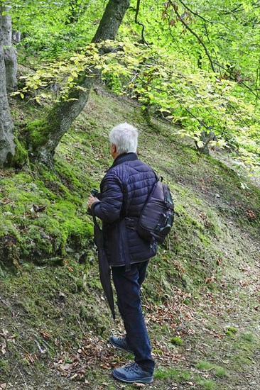 Kellerwald-Edersee National Park in late summer