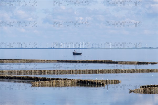 Mudflat landscape at low tide with lahnungen