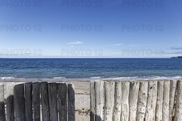 Palisades on a beach