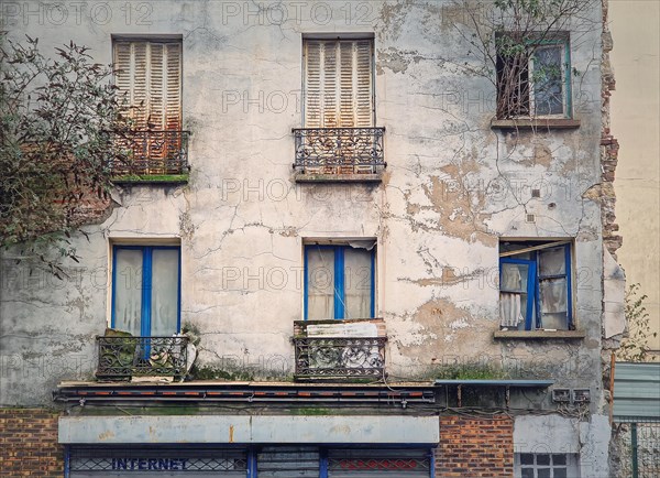 Abandoned building facade. Trees and bushes growing out of windows