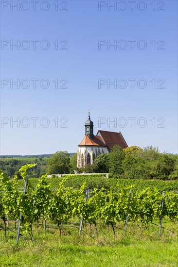 Pilgrimage church Maria im Weingarten