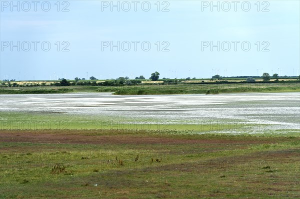 White salt crust on the Lange Lacke salt lake