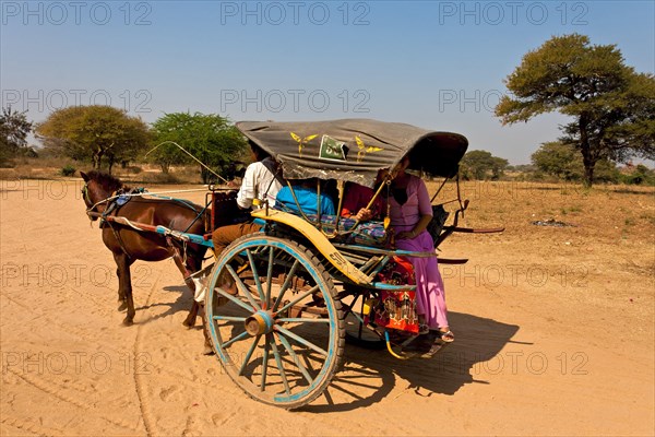 Horse-drawn carriage on sandy track