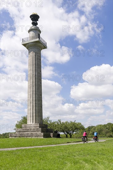 Constitution column