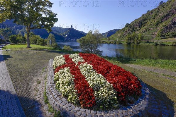 Flowerbed near Cochem Moselle