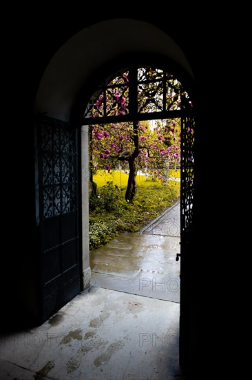 Door Entrance with Magnolia Tree in Patio in Schaffhausen